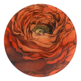 A five inch round glass plate with a detailed close up of a red rose