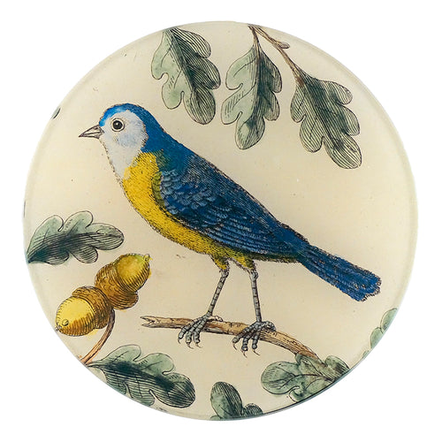 A five inch round glass plate with a collage of a blue bird, green leaves, and yellow accents, handmade in a studio.
