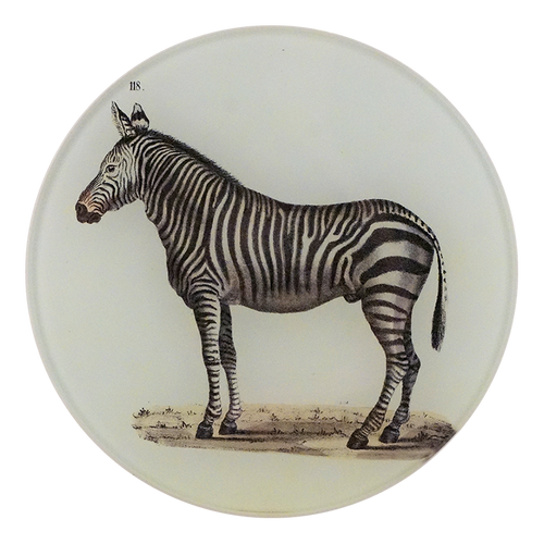 A five inch round glass plate featuring a black and white illustration of a zebra on a white background.