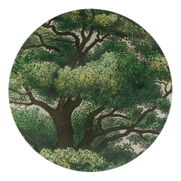 A five inch round glass plate with a handblown glass center featuring a green tree design.