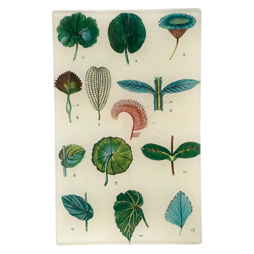 Feuilles (Leaves)
