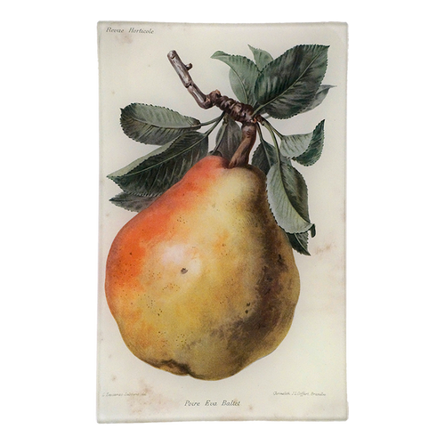 Poire