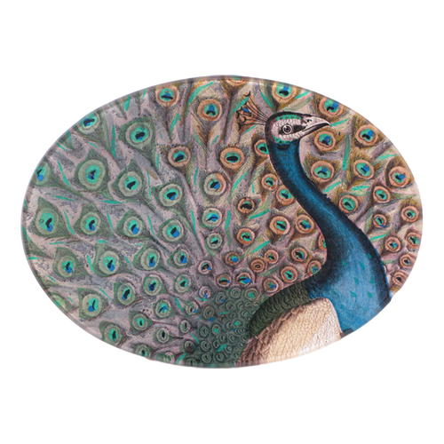 A five inch by seven inch horizontal oval glass plate featuring a colorful peacock design.