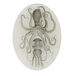 A five inch by seven inch vertical oval glass plate featuring a black and white illustration of an octopus and squid. 