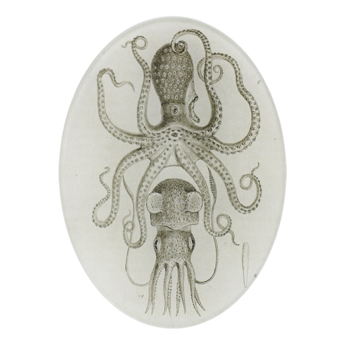 A five inch by seven inch vertical oval glass plate featuring a black and white illustration of an octopus and squid. 