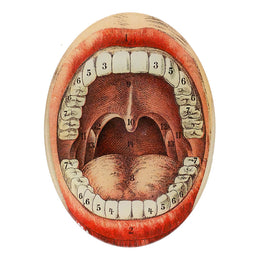 A five inch by seven inch vertical oval glass plate featuring a print of a mouth with numbered teeth, in a red and beige color palette.