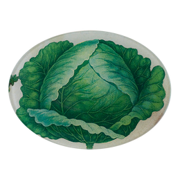 A five inch by seven inch glass plate with a collage of green cabbage leaves.