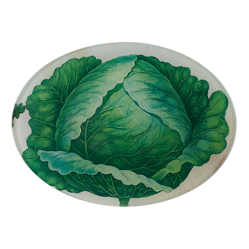 A five inch by seven inch glass plate with a collage of green cabbage leaves.