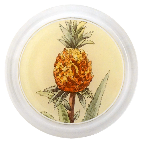 Pineapple in a Pot