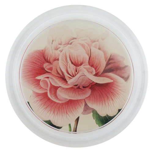 Camellia Blossom 1