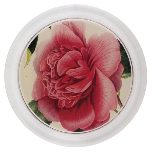 Camellia Blossom 4