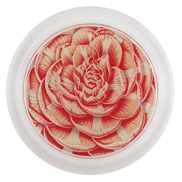 Camellia General Lafayette