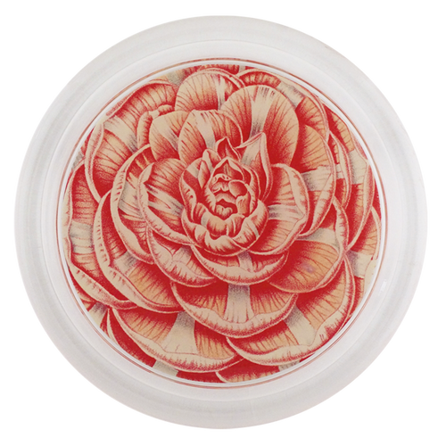 Camellia General Lafayette