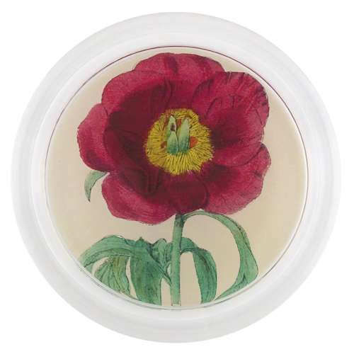Rose 2