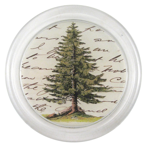 Pine