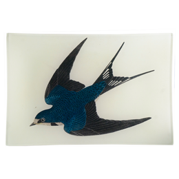 Barn Swallow