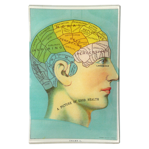 Phrenology Head