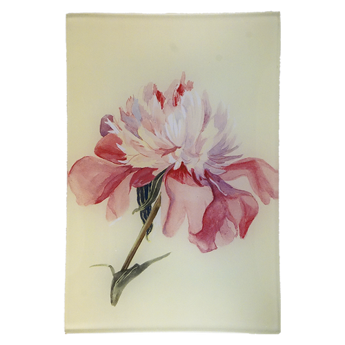 Peony 2