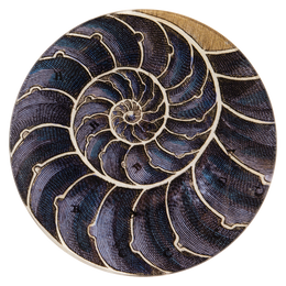 A seven inch round glass plate with a nautilus shell design, featuring a spiral pattern in shades of blue and brown.