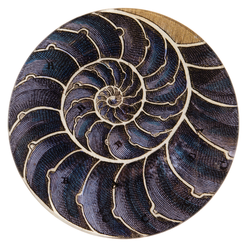 A seven inch round glass plate with a nautilus shell design, featuring a spiral pattern in shades of blue and brown.