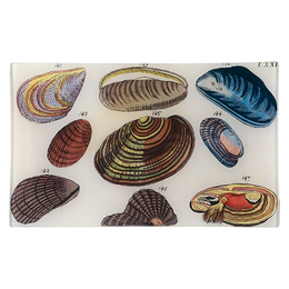 Clams