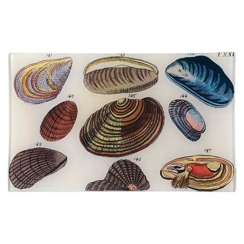 Clams