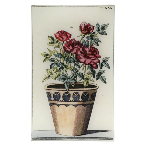 Potted Rose