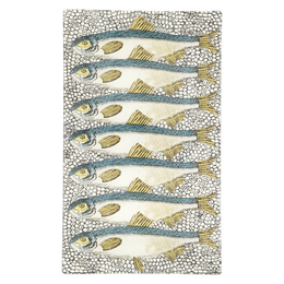 Sardines