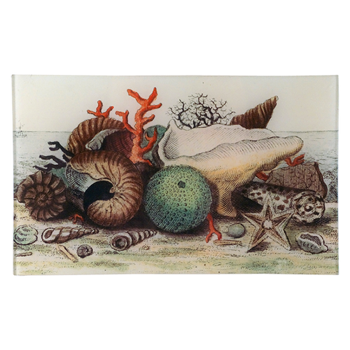 Shells circa 1755