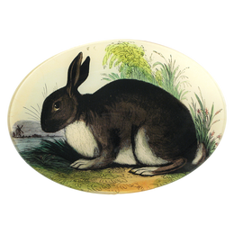 A seven inch by ten inch horizontal oval glass plate featuring an illustration of a rabbit with green foliage. 