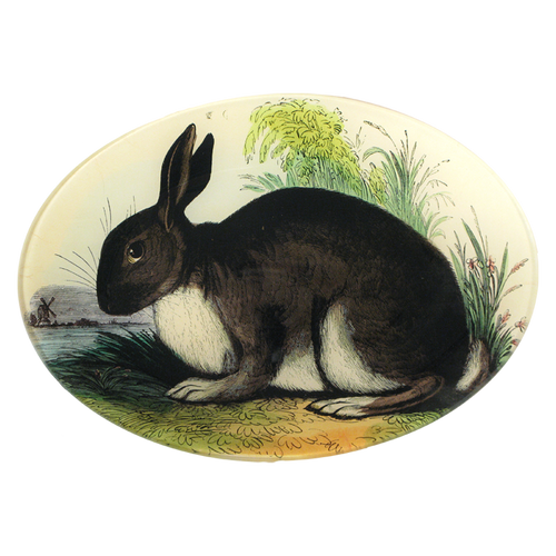 A seven inch by ten inch horizontal oval glass plate featuring an illustration of a rabbit with green foliage. 