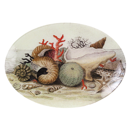 A seven inch by ten inch horizontal oval glass plate with a collage of various shells and marine life. 