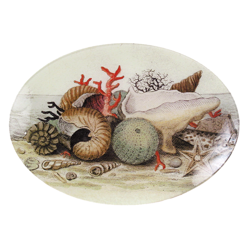 A seven inch by ten inch horizontal oval glass plate with a collage of various shells and marine life. 
