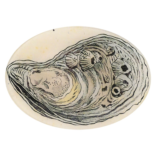 A seven inch by ten inch horizontal oval glass plate featuring an illustration of an oyster. 