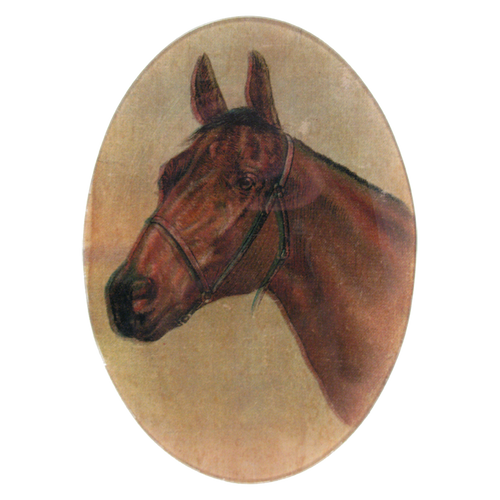 A seven inch by ten inch vertical oval glass plate a depiction of a horse's head.