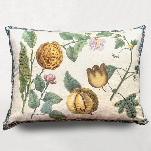 Lemons Canvas