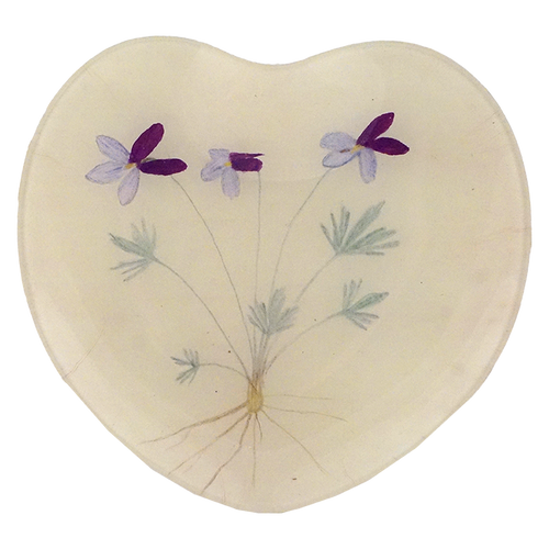 Bird's Foot Violet