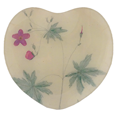 Wild Geranium