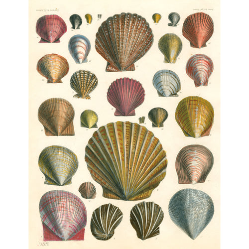 The John Derian Wrapping Paper & Gift Tags Book
