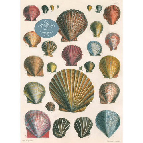 Shells
