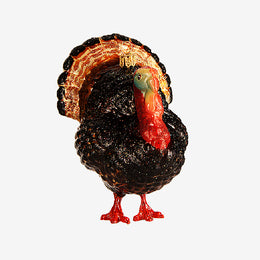 Turkey Ornament