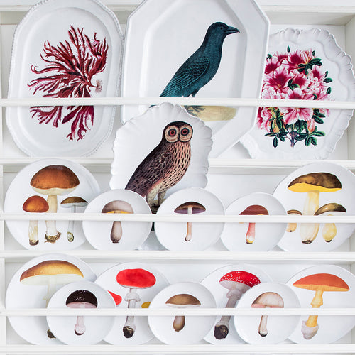 Bolet Comestible Dinner Plate