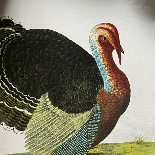 Turkey Platter