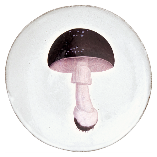 Agaric Fuligineux Plate