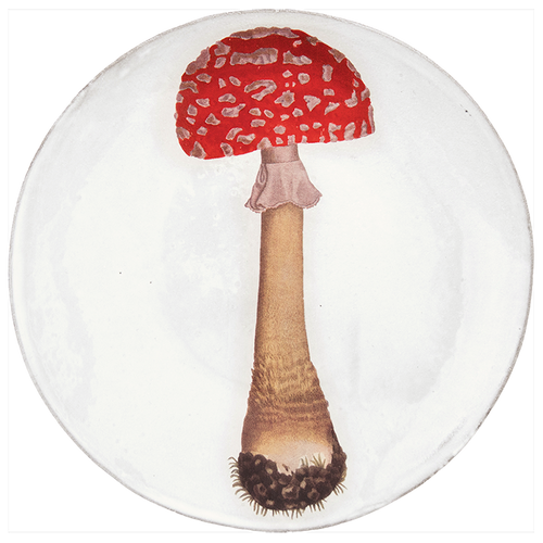 Agaric Fausse Orange Dinner Plate