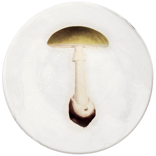 Agaric Bulbeux Dinner Plate