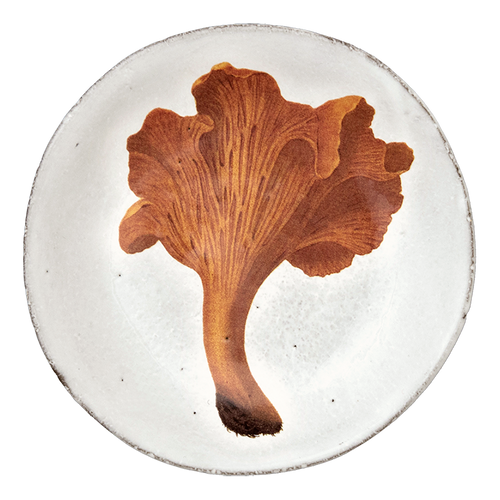 Chanterelle Comestible Plate