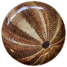 Sea Urchin Dinner Plate