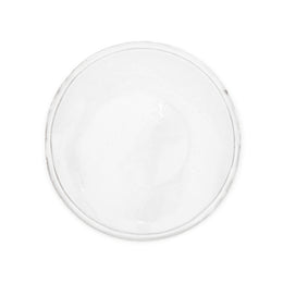 Simple Medium  Dinner Plate