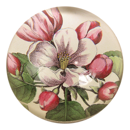 Beach Rose handmade decoupage dome paperweight 